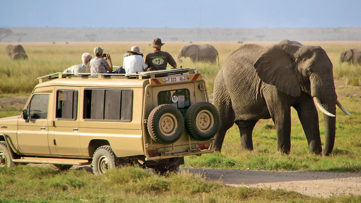 DaysMwanzatoSerengetiSafari